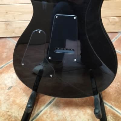 PRS S2 custom 24 2024 image 4
