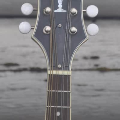 Epiphone MM-50E Professional Mandolin - Natural image 2