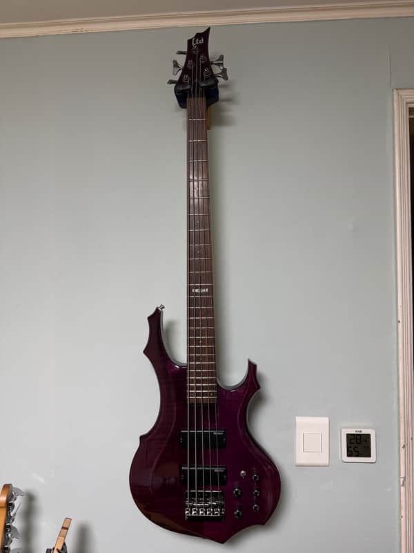 ESP LTD F-155DX