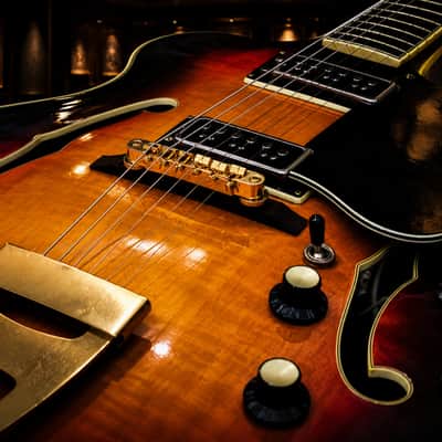 Standel 811-S 1968 - Sunburst. Uber Rare. By Sam Koontz. Museum Specimen . image 5