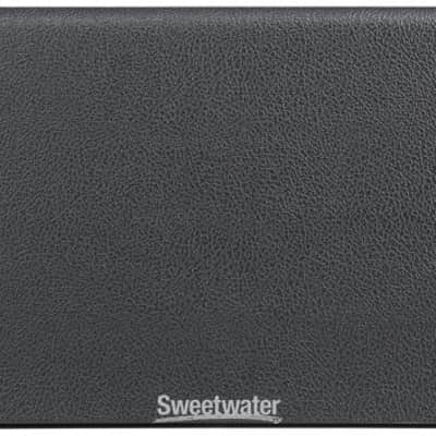 Synergy SYN-20IR 20-watt  1 x 12-inch Combo Amplifier - No Module Included - Black (SYN-20IRCd2) image 3