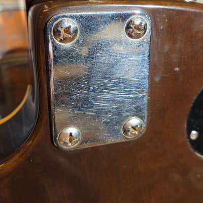 Vintage 1970s El Dégas Lawsuit LP Recording Copy Natural - Neck Pickup Is Not Working image 21