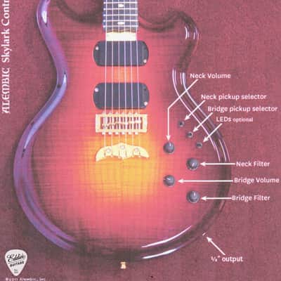 Alembic Skylark - Zebrawood image 19