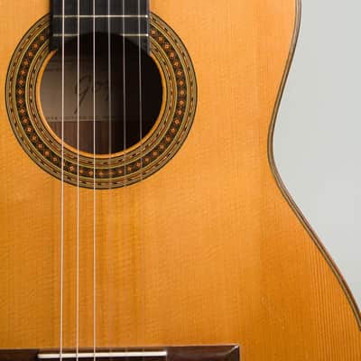 Goya  G-50 Classical Guitar (1966), ser. #1004 image 14
