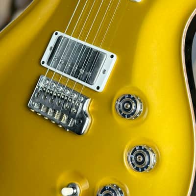 PRS DGT 2021 - Gold Top with Birds - Satin Neck image 11