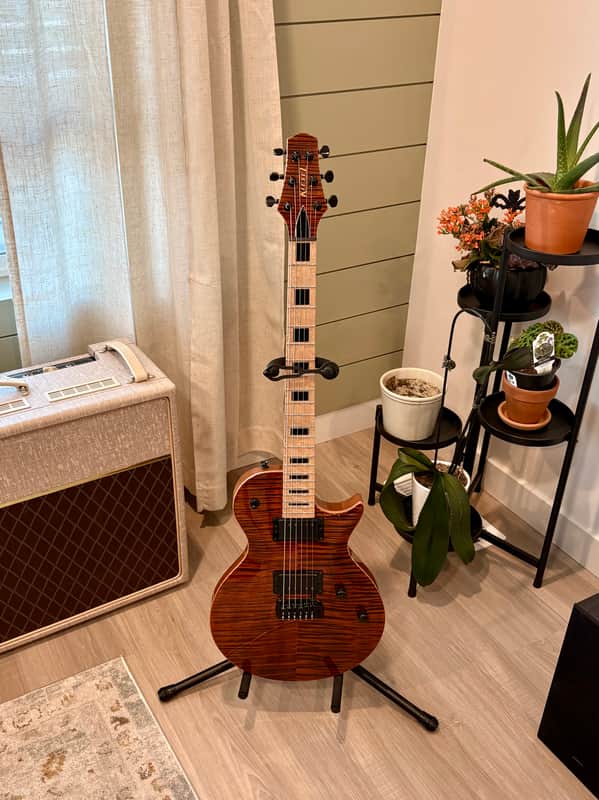Kiesel CS 6 X image 1