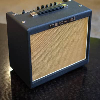 Tech 21 Trademark 30 1x10 Guitar Combo Amp