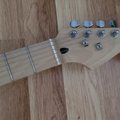 RNC Customs Stratocaster SSS 2026 - Flamingo image 5