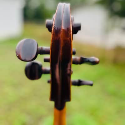 Immagine Giuseppe Petrazzini Cello 1890's Italian Labeled - 8