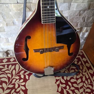 Alvarez mandolin A100 with hard case image 2