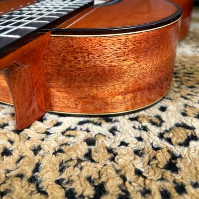 Cordoba C9 Parlor Nylon String Acoustic Guitar Natural image 18