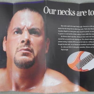 Alvarez Villian Bass Brochure 1995 image 4