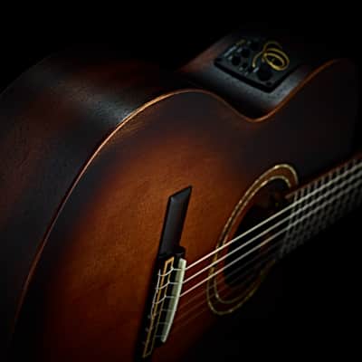 Ortega DSSUITE-C/E The Private Room Series Solid Spruce Top Mahogany Neck Nylon 6-String Classical Acoustic-Electric Guitar w/Gig Bag image 8