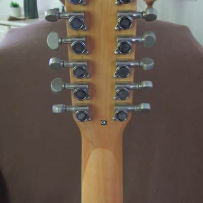 Alvarez AJ60SC/12 2000-2002 - Natural image 3