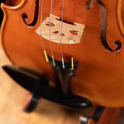 Scott Cao STV-750E Scarampella 1890 Stefans Scar 2-Piece Back Violin - 4/4 image 9