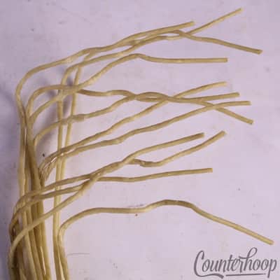 *Ludwig Catgut(Sheep)Natural 15"Snare Drum Wires/12x 19" Strands Vintage Cat Gut image 3