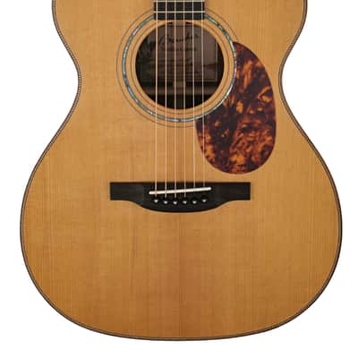 Boucher SG-51-MV Guitar #IN-1707-OMH image 1