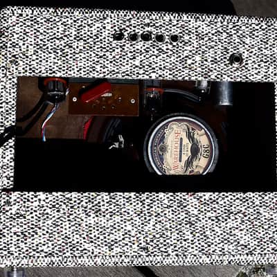Ampli Garen Stimer 1965 tweed image 2