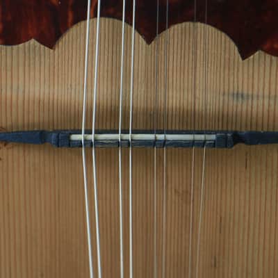ANTIQUE BOWLBACK MANDOLIN ITALY ‘ALFREDO ALBERTINI CATANIA No. 65’ image 9