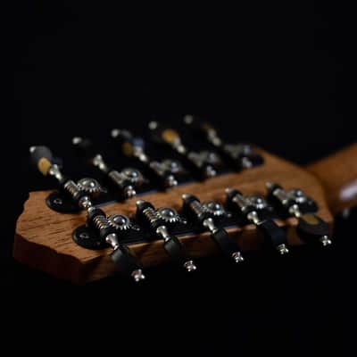 Junio Americo 10-String Mandolin | Brazil (with VS Tuners) image 10