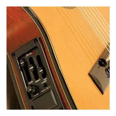 Ibanez GA5TCE 6-String Classical Guitar (Right Hand, Amber High Gloss) imagen 2