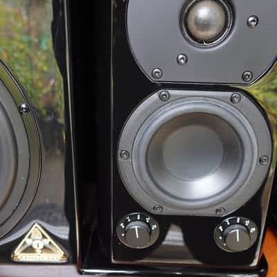 Trident Audio HG3 Monitors 2015 image 4