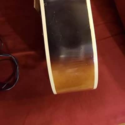Immagine Silvertone P7 Archtop Jazzbox From The Early 1960s - 9