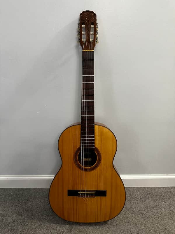 Vintage 1979 Giannini AWN 71 Classical Acoustic Guitar Brazilian Rosewood image 1