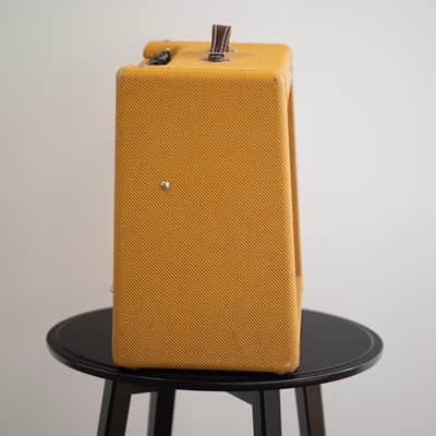 Fender Blues Junior Valve Amp Combo - Tweed image 15