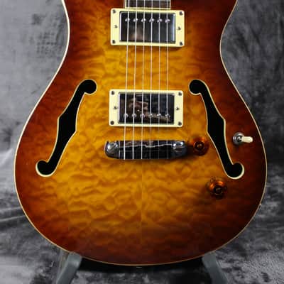 Raven West Guitars RG450 RWG image 2