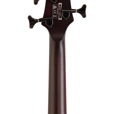 Ibanez SRF700 Portamento Fretless Bass Guitar Brown Burst image 7