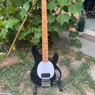 1982 Music Man StingRay Bass - Black- Pre Ernie Ball - OHSC image 19
