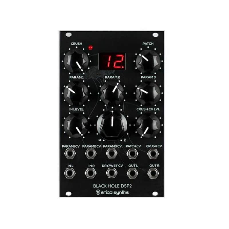 Erica Synths Black Hole DSP v2 Stereo Effects Processor Module image 1