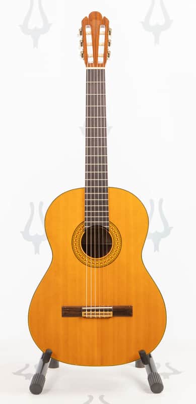 Daion GC 20 (Yamaki Built) image 1