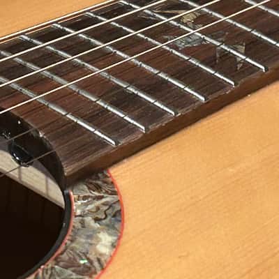 Washburn Bella Elegante S24S Solid Spruce Top Parlor Size Acoustic Guitar image 14