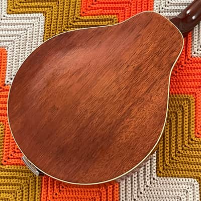 Kay Mandolin - Classic Mandolin! - Made in USA 🇺🇸- Gorgeous Sound and Great Condition! - image 3