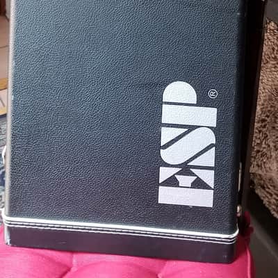 ESP Custom Hand Painted image 21