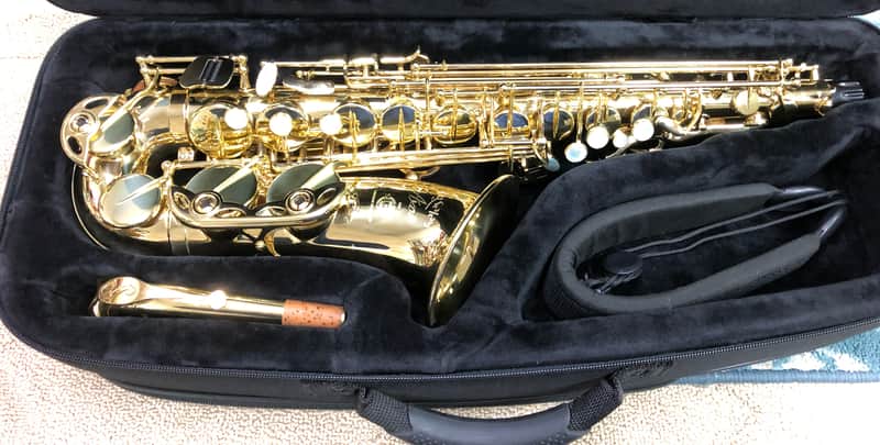 Selmer Seles Axos Alto Sax.  Gold Lacquer. Lightly Owned Pro Alto. NICE image 1