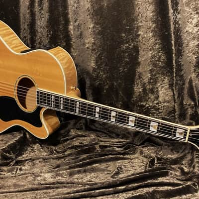 Guild F65ce Westerly Rhode Island Limited Top of the Line Model image 5