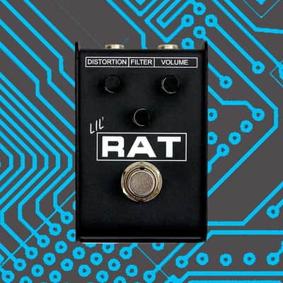 ProCo Lil Rat image 1