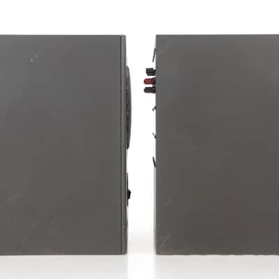 Alesis S1 Active Powered Subwoofer Sub Pair w/ Canare XLR-TRS 1/4" Cables #34937 image 9