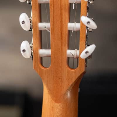 Taylor 214ce-N Nylon Grand Auditorium Acoustic/Electric Guitar with Gig Bag - Factory Demo image 6