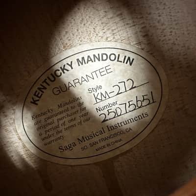 Kentucky KM-272 Deluxe Oval Hole A-Style Mandolin Transparent Amber w/ Case image 20