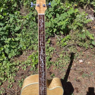 Michael Kelly Dragonfly 4 acoustic bass image 3