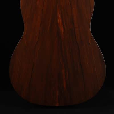 Iris Custom OG Adirondack / Cocobolo (2025) image 17