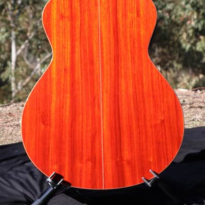 Furch Yellow Plus G-CP w/ LR Baggs Stagepro Anthem Pickup System image 5