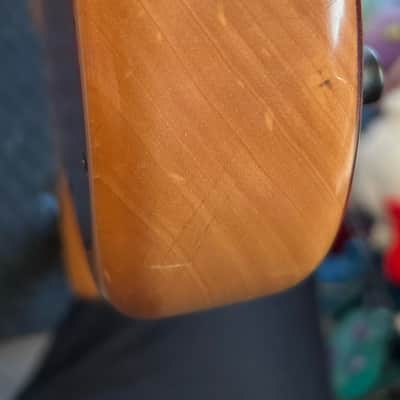 Nordstrand Bass SC6 Mid 2000s - Natural image 12