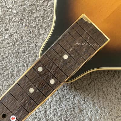 Honey Burst 8 String Mandolin Project, Spruce Top, Mahogany Body, Rosewood Fingerboard image 7
