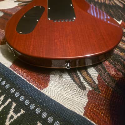 Fujigen EXPERT EFL FM 2000s image 17