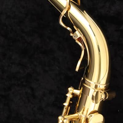 Yanagisawa Alto A-WO10 Alto Saxophone [400259] (07/03) image 9